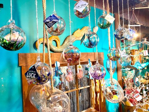 Colorful glass orbs filled with plants and decorations hang against a bright blue wall, creating a whimsical display.