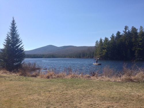 A serene lake surrounded by trees and mountains, with a person fishing from a small boat under a clear blue sky.