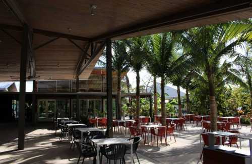 A spacious outdoor dining area with tables and chairs surrounded by palm trees and a modern building in the background.