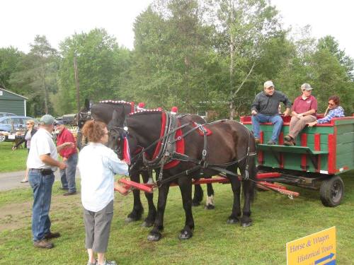 A horse-drawn wagon with passengers, surrounded by people in a grassy area, promoting historical tours.