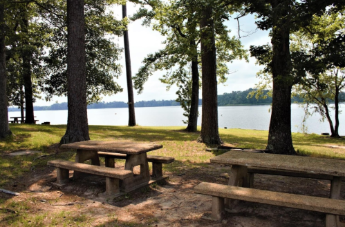 A serene lakeside scene with picnic tables surrounded by trees and calm water in the background.