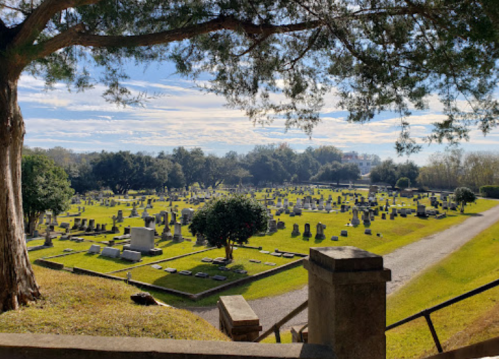 A serene cemetery with numerous gravestones, surrounded by trees and a clear blue sky.