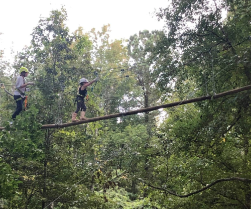 Two people on a zip line course, balancing on a log high above the ground, surrounded by lush green trees.