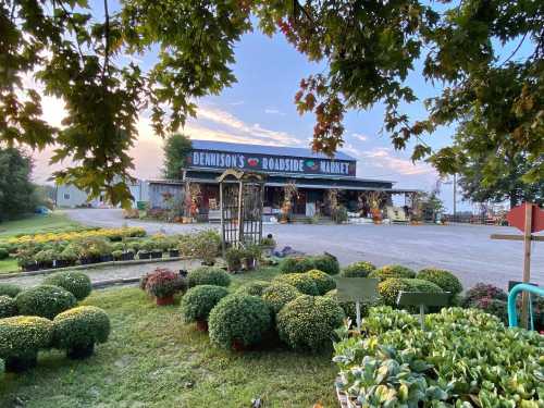 A roadside market with colorful flowers and plants in front, under a blue sky with scattered clouds.