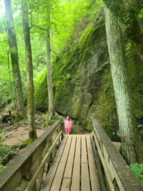 A child in a pink dress stands on a wooden bridge surrounded by lush green trees and a moss-covered rock face.