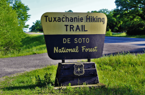 Sign for Tuxachanie Hiking Trail in De Soto National Forest, with a road and greenery in the background.