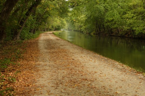 A serene path lined with trees beside a calm, reflective canal, covered in fallen leaves.