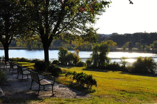 A serene park scene with benches under trees, overlooking a calm lake at sunrise.