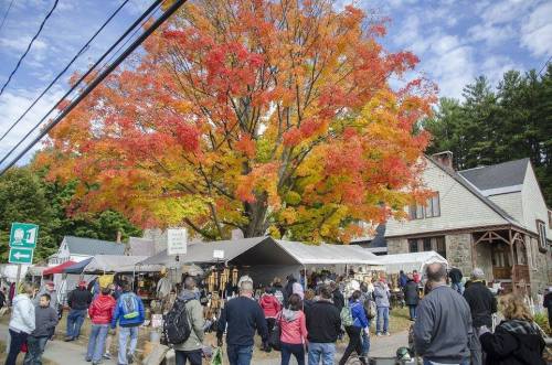 A vibrant autumn scene with a large orange tree, bustling market stalls, and a crowd of people enjoying the festivities.