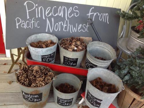 Baskets of pinecones labeled by type and price, with a sign reading "Pinecones from Pacific Northwest."