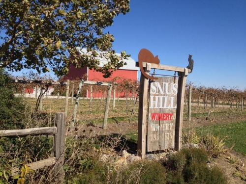 Sign for Snus Hill Winery in front of vineyards and a red barn under a clear blue sky.
