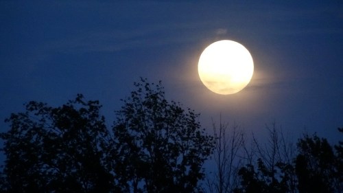 A bright full moon shines in a dark blue sky, partially obscured by wispy clouds and silhouetted trees below.