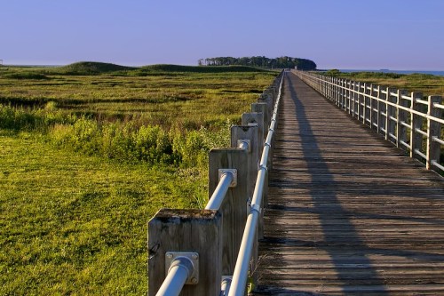 A wooden boardwalk stretches through a lush green landscape, leading towards a distant island under a clear blue sky.