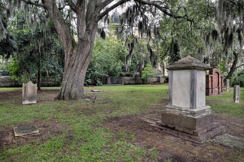 A serene graveyard with moss-covered trees and weathered tombstones in a lush, green setting.
