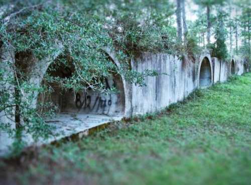 Abandoned concrete structures with arched openings, surrounded by greenery and trees.