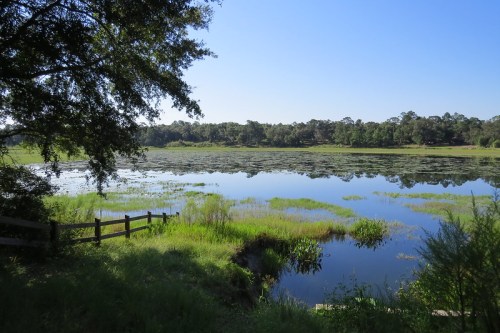 A serene lake surrounded by lush greenery and trees under a clear blue sky.