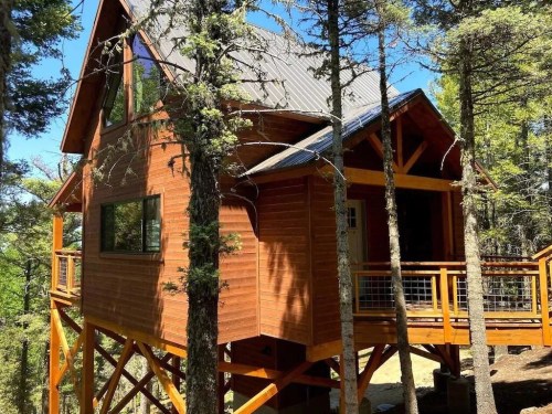 A wooden treehouse nestled among tall trees, featuring large windows and a deck, set in a sunny forest.