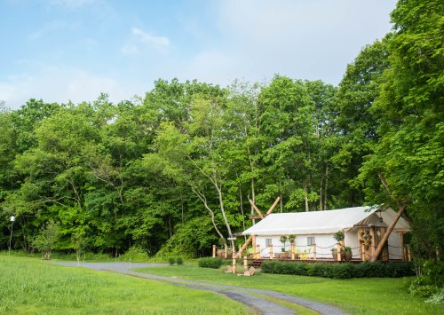 A cozy tent cabin surrounded by lush green trees and a gravel path leading to it.