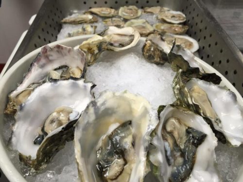A bowl of fresh oysters on ice, showcasing their open shells and glistening meat.