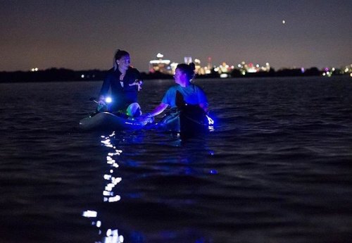 Two people in a kayak at night, illuminated by lights, with a city skyline visible in the background.