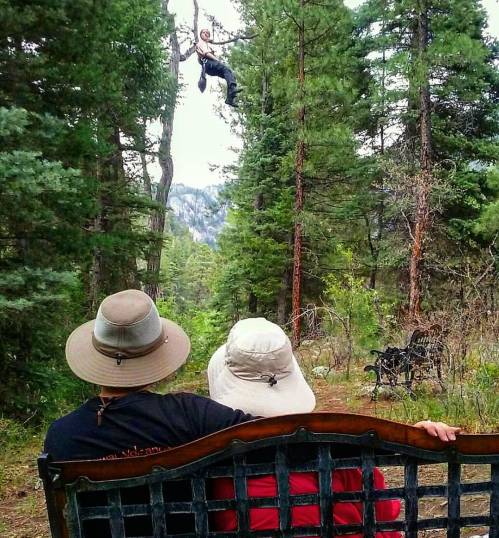 Two people sit on a bench in a forest, watching someone zip-lining through the trees above them.