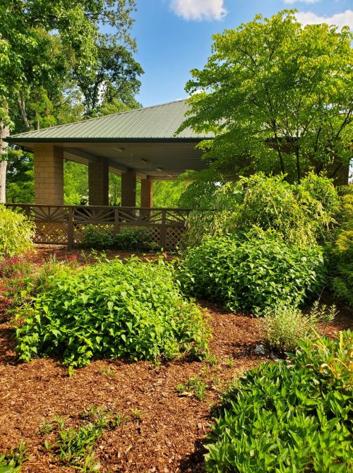 A lush garden with green shrubs and plants, featuring a wooden pavilion under a blue sky with scattered clouds.
