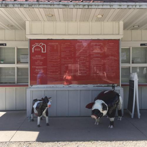 A restaurant menu board with a red background, flanked by two decorative cow and pig sculptures outside.