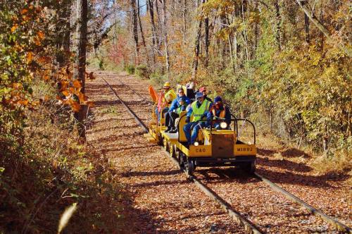 A group of people in safety vests riding a yellow rail car on a leaf-covered train track surrounded by autumn trees.