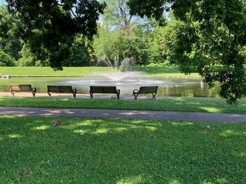 A serene park scene featuring benches by a pond with a fountain surrounded by lush greenery.
