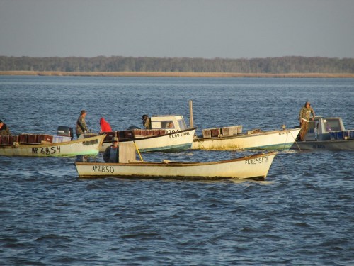 Two small fishing boats on a calm waterway, with fishermen working on board under a clear sky.