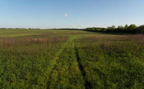 A wide, open field with a dirt path running through lush green grass and sparse vegetation under a clear blue sky.