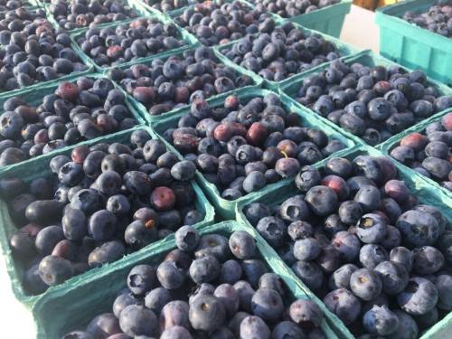Baskets of fresh blueberries stacked together, showcasing their deep blue color and plump texture.