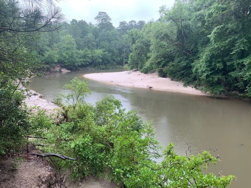 A serene river bends through lush green trees, with a sandy bank visible on the left side under a cloudy sky.