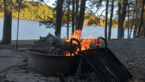A campfire burns in a fire pit by a lake, surrounded by trees and autumn foliage.