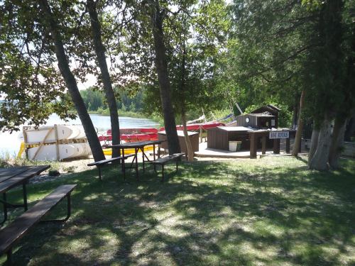A serene lakeside scene with boats docked, surrounded by trees and picnic tables on a sunny day.