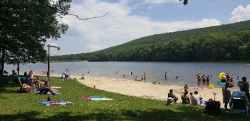 A sunny beach scene with people swimming and relaxing on the shore, surrounded by green hills and trees.