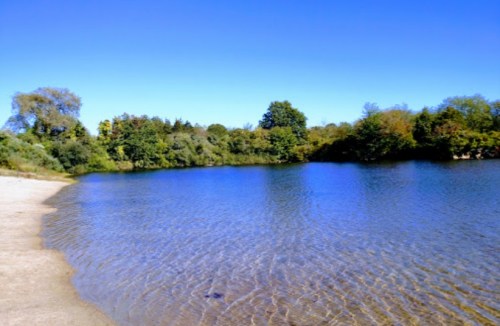 A serene lake surrounded by lush greenery under a clear blue sky. The water is calm and reflective.