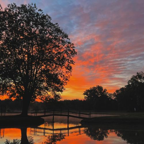 A serene sunset over a lake, with vibrant orange and purple skies reflecting on the water and a silhouette of trees.