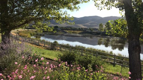 A serene landscape featuring a calm river, lush greenery, and blooming flowers under a clear blue sky.