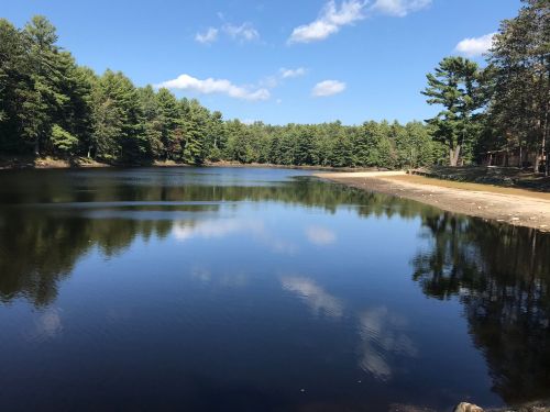 A serene lake surrounded by lush green trees under a clear blue sky, reflecting the landscape on its calm surface.