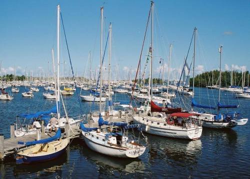 A marina filled with various sailboats docked along a pier under a clear blue sky.