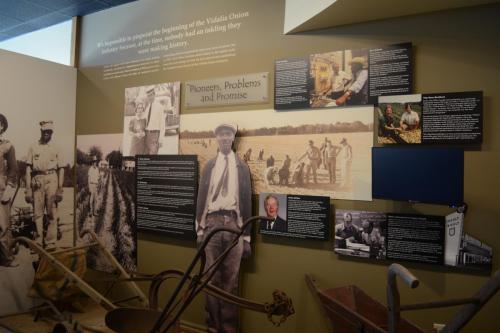 Exhibit display on Vidalia Onion history featuring photos, text panels, and farming tools.