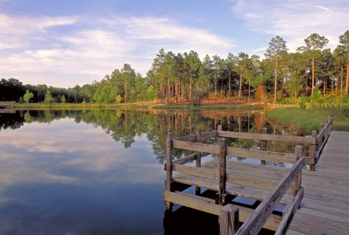A serene lake surrounded by trees, with a wooden dock extending into the calm water under a blue sky.
