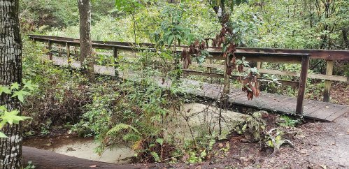 A wooden bridge spans a small creek, surrounded by lush greenery and trees in a tranquil natural setting.