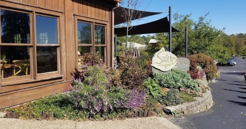 A wooden building with large windows, surrounded by colorful plants and a sign that reads "Sage." Clear blue sky above.