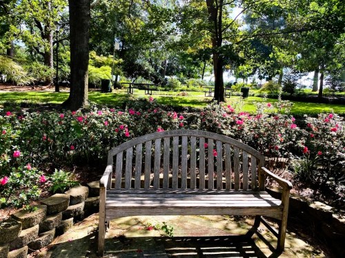 A wooden bench surrounded by blooming flowers in a lush, green park with trees and picnic areas in the background.