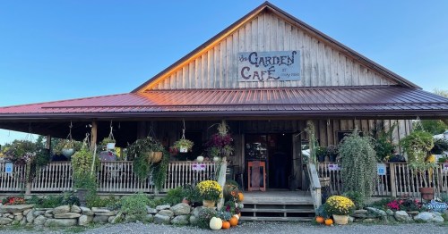 A rustic wooden café with a red roof, surrounded by colorful flowers and pumpkins, under a clear blue sky.