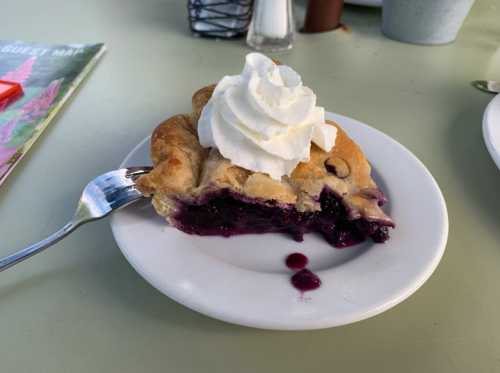 A slice of blueberry pie topped with whipped cream on a white plate, with a fork beside it.