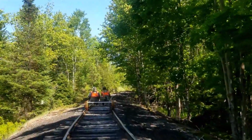 Two people on a rail cart traveling along a tree-lined railway track in a lush green forest.