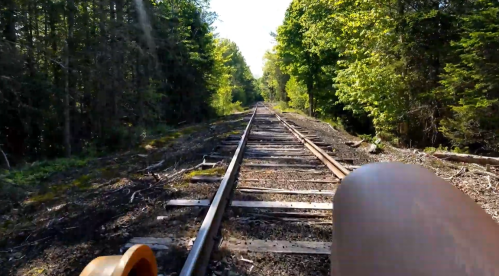 A view down a railway track surrounded by lush green trees and foliage on a sunny day.